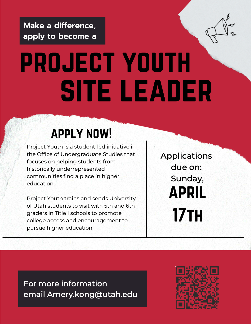 Project Youth Site Leader Flyer